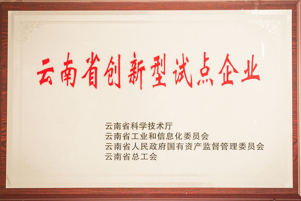 云南省创新试点企业